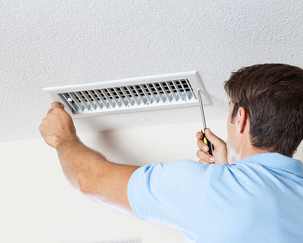 Best Black Mold Removal  in West Sacramento, CA
