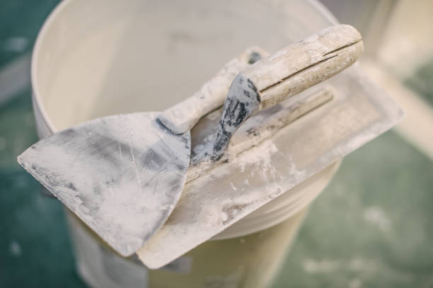 Best Post-Construction Mold Inspection  in West Sacramento, CA